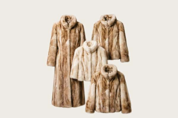 灵丘县回收皮草衣服